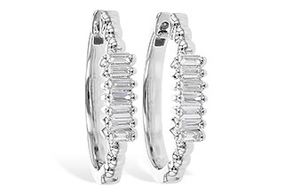 E327-78071: EARR .20 TW BAGUETTES